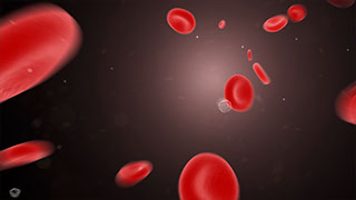 3D animated blood cells
