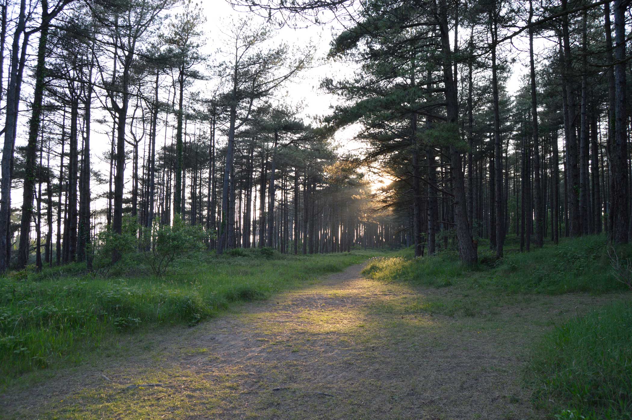 Filming the sunset in Pembrey