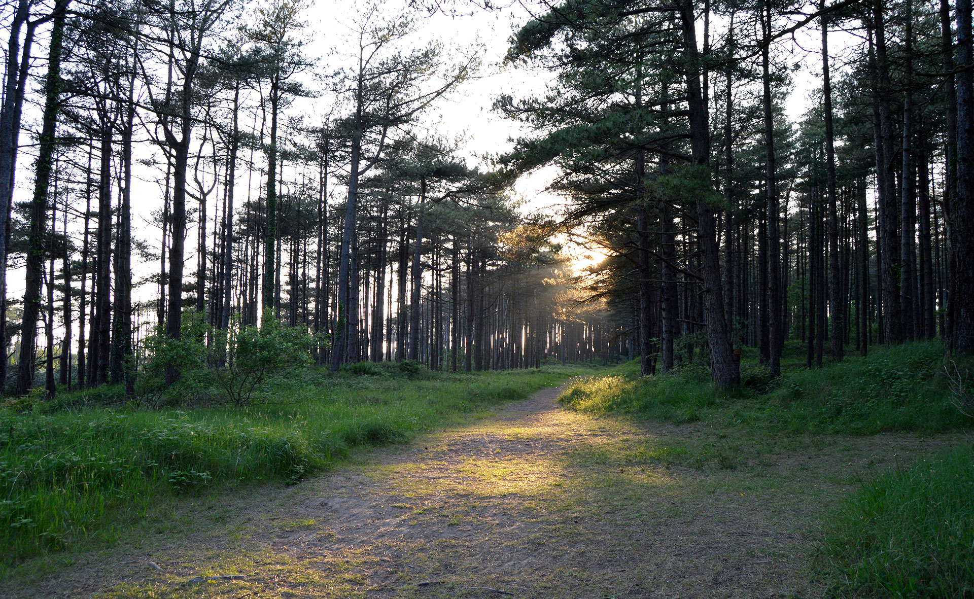 Filming the sunset in Pembrey