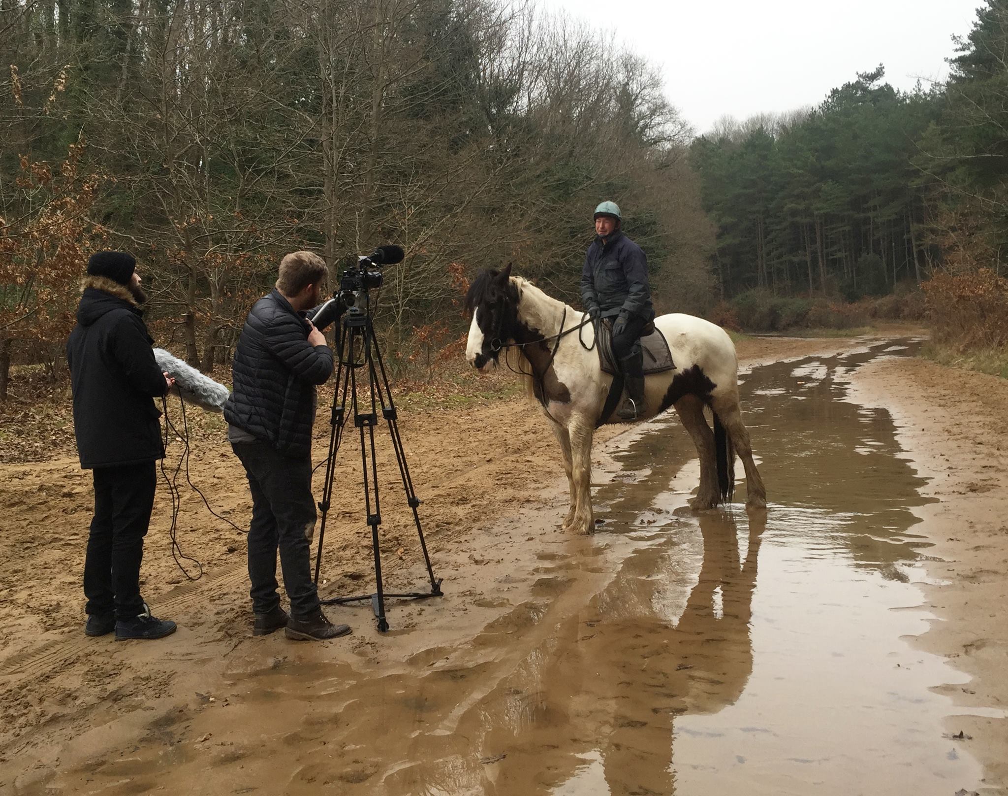 Filming a horse rider
