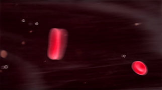 3D animated red blood cells